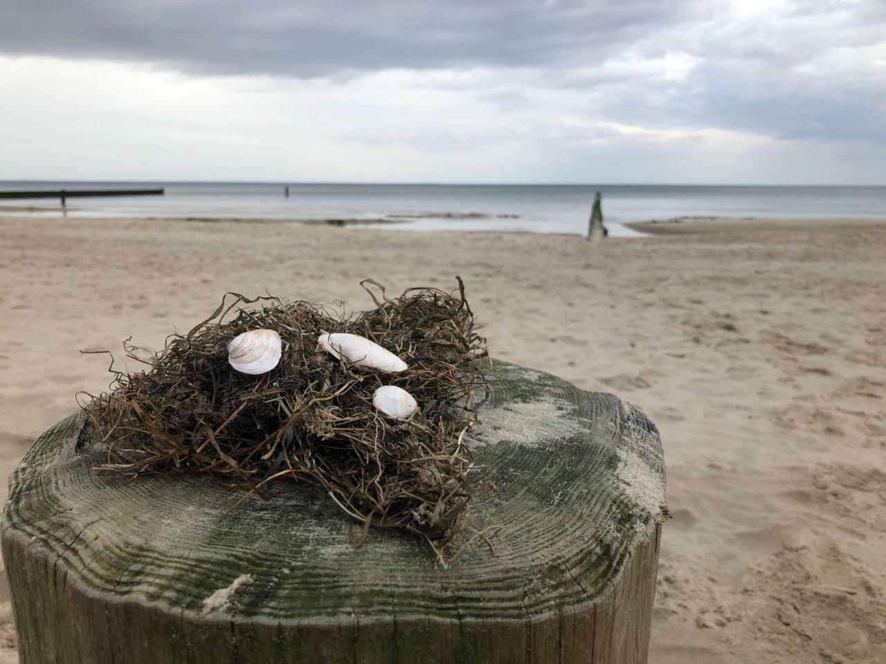 Ferienwohnung Strandnah Zempin Exterior foto